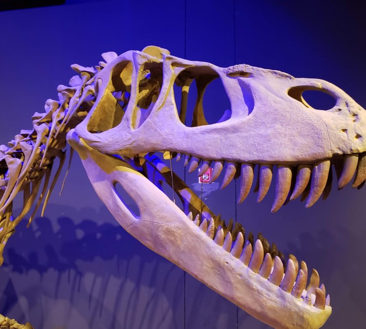 Mesalands Dinosaur Museum and Natural Sciences Laboratory (Tucumcari,&nbspNM)